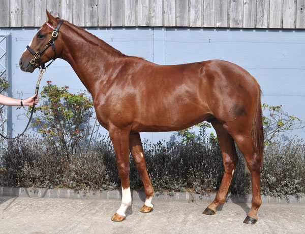 lot 444 photo